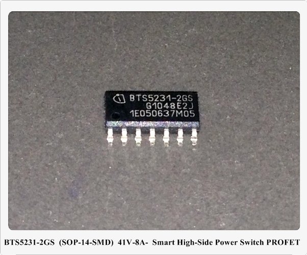 BTS5231-2GS 
