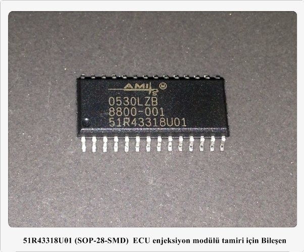 51R43318U01 