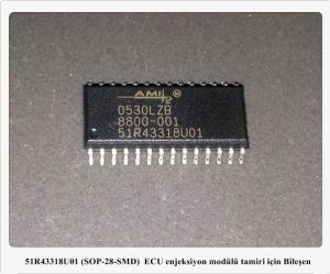 51R43318U01 