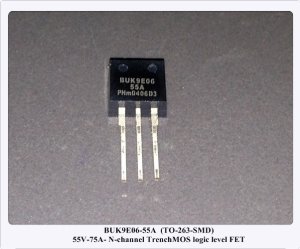BUK9E06-55A 