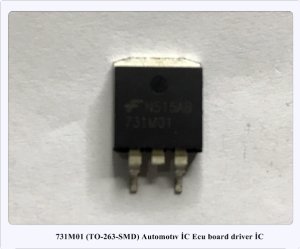 731M01