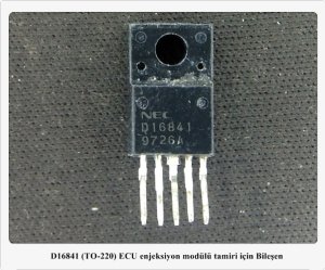 D16841 