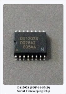 DS1202S 