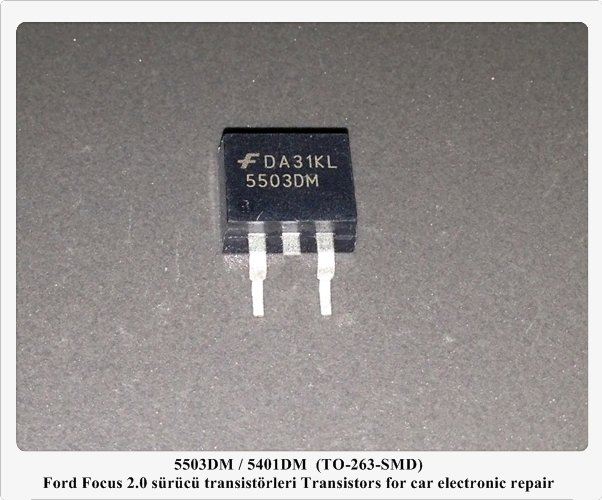 5503DM / 5401DM  