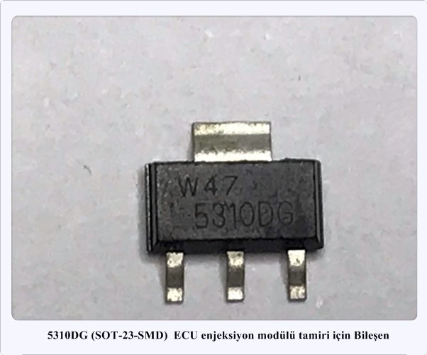 5310DG 