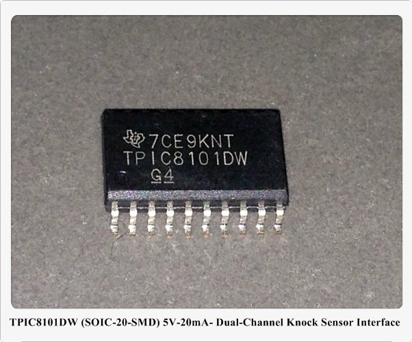 TPIC8101DW