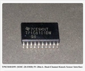 TPIC8101DW