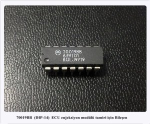70019BB 