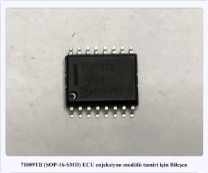 71009TB 