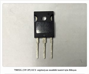 75852G 