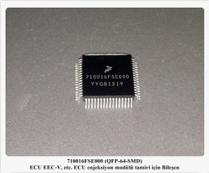 710016FSE000