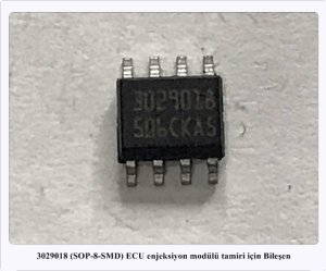 3029018 