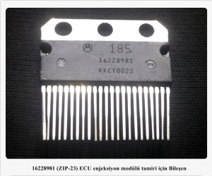 16228981