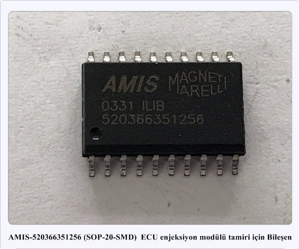 AMIS-520366351256 