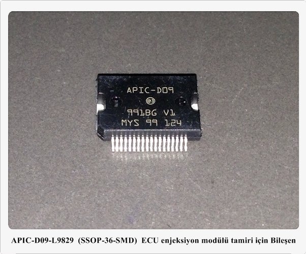 APIC-D09 / L9829  