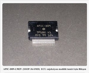 APIC-D09 / L9829  