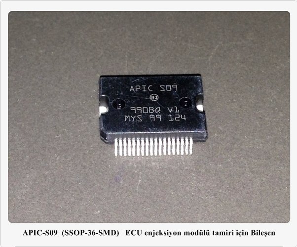 APIC-S09  