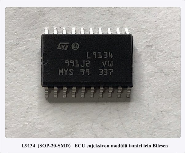 L9134  