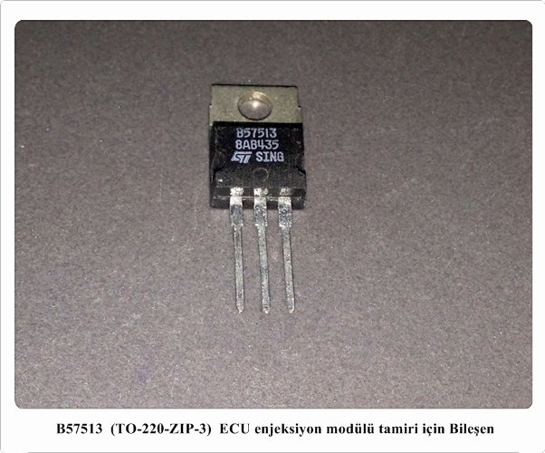 B57513