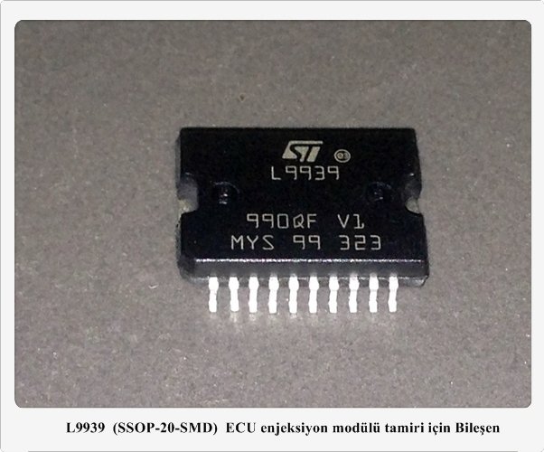 L9939 