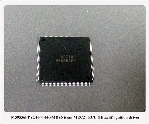 M59556FP 