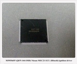 M59556FP 