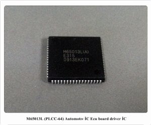 M65013L 