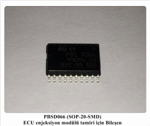 PBSD066