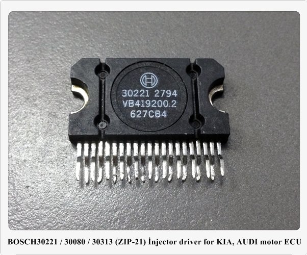 30221 / 30080 / 30313