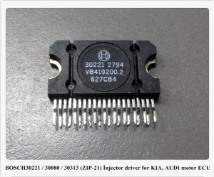 30221 / 30080 / 30313