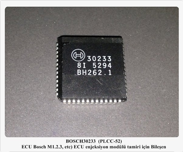 30233