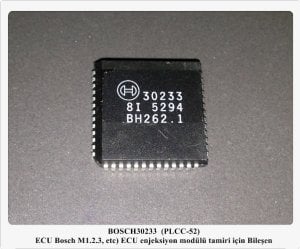 30233
