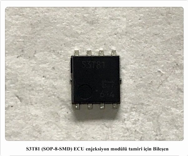 S3T81 