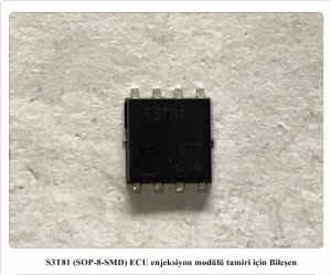 S3T81 