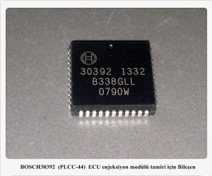30392