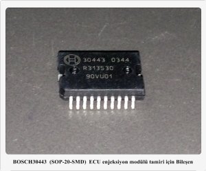 30443