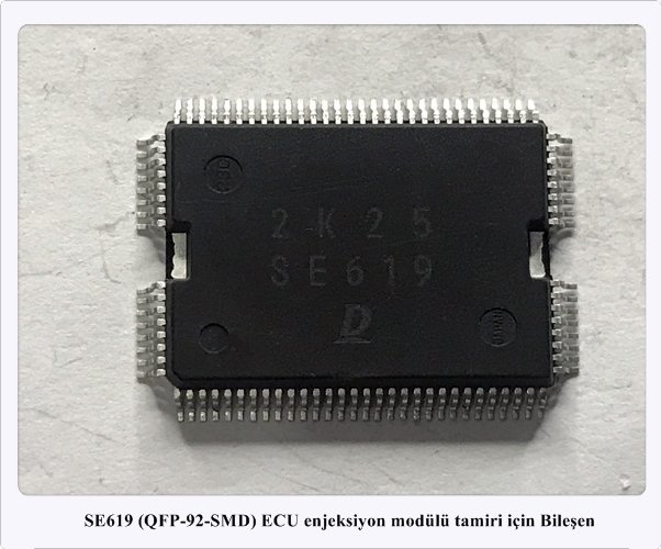 SE619 