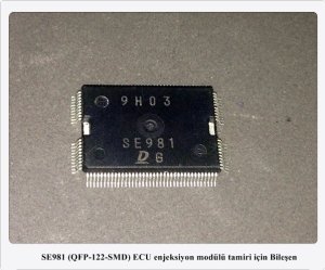 SE981