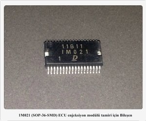 1M021 