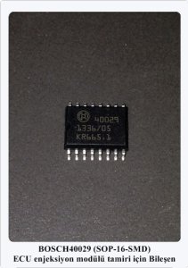 40029